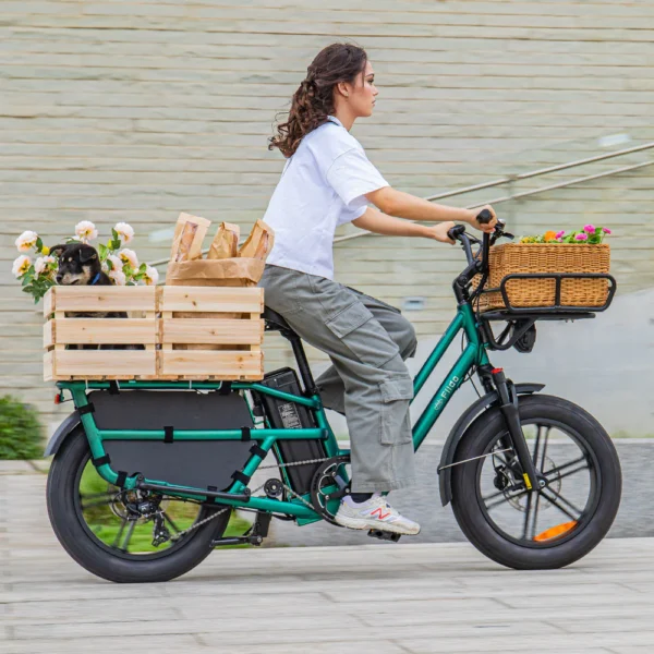 Fiido T2 Vélo électrique Longtail Fatbike Cargo – Image 2